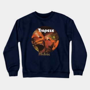 Trapeze Crewneck Sweatshirt